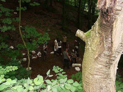 Ein Horn 5