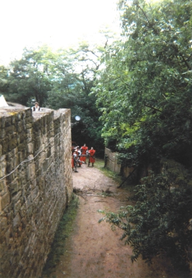 Myra Steinsberg 1996_6