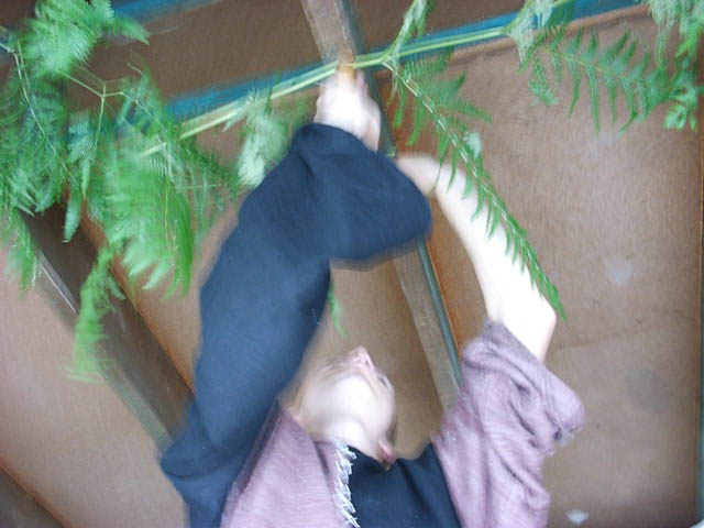 Ein Horn 3