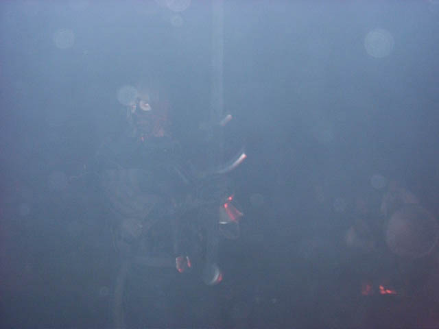 Ein Horn 3