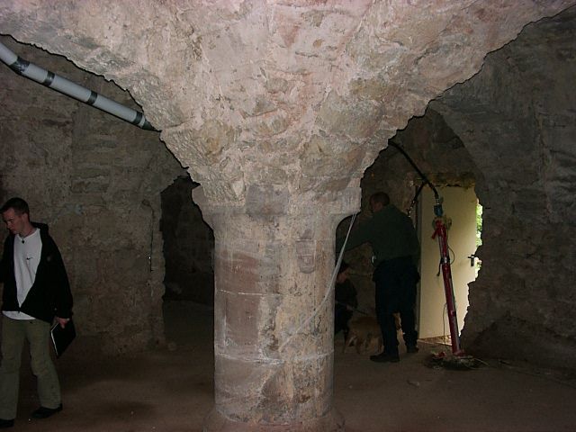 Ein Horn 4