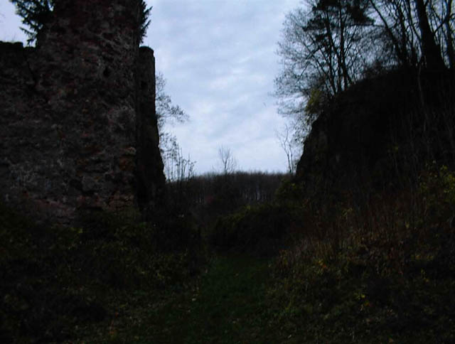 Ein Horn 4