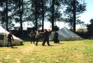 Ein Horn 1