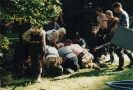 Ein Horn 1