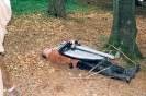 Ein Horn 2